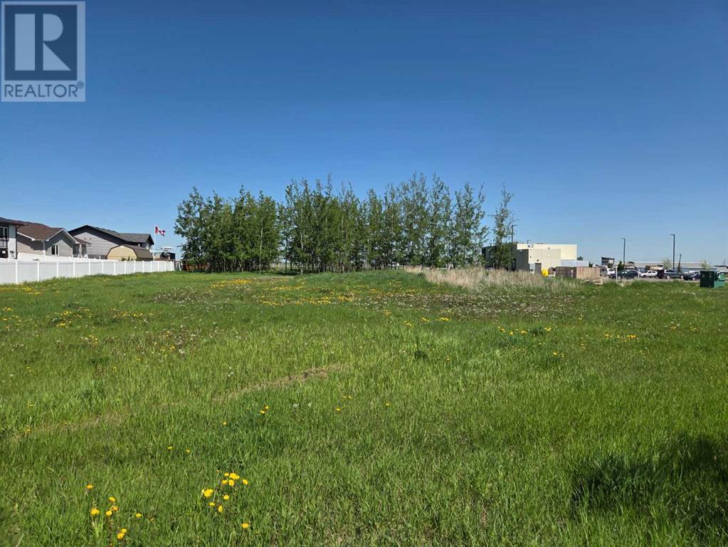 2412 20th Street, Didsbury, Alberta T0M 0A2 - Photo 1 - A2224725