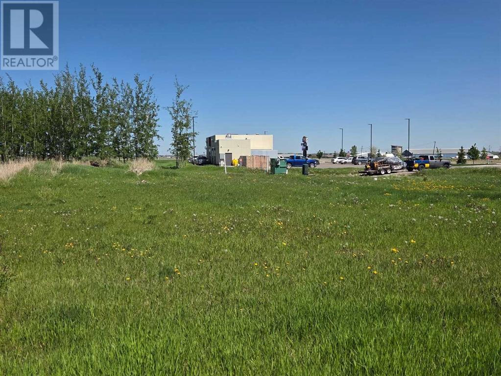 2412 20th Street, Didsbury, Alberta T0M 0A2 - Photo 3 - A2224725