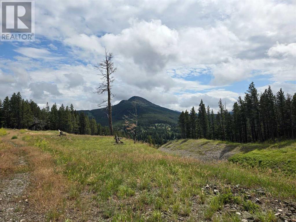 #4, 5302 19th Avenue, Coleman, Alberta T0K 0M0 - Photo 1 - A2240921