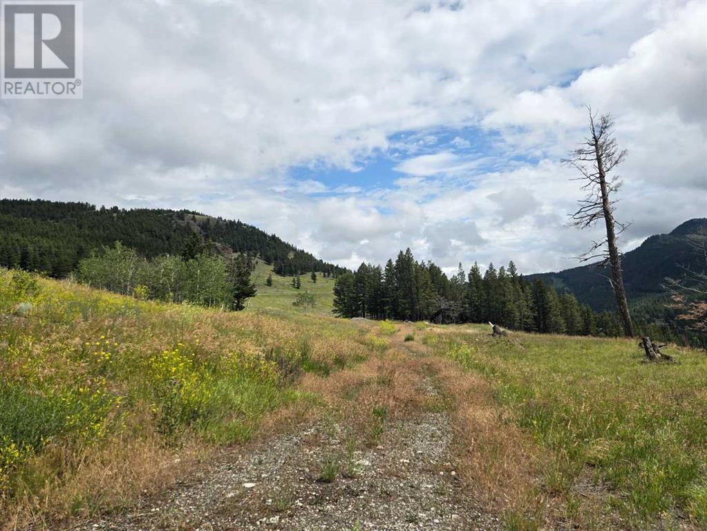 #4, 5302 19th Avenue, Coleman, Alberta T0K 0M0 - Photo 2 - A2240921