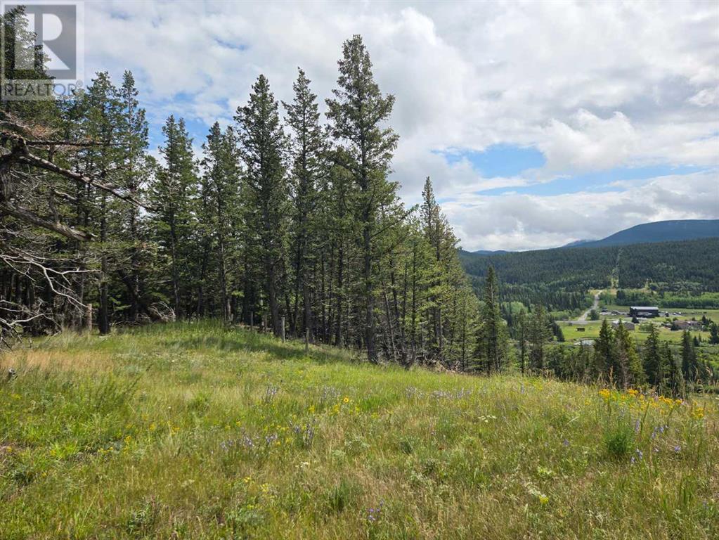 #4, 5302 19th Avenue, Coleman, Alberta T0K 0M0 - Photo 3 - A2240921