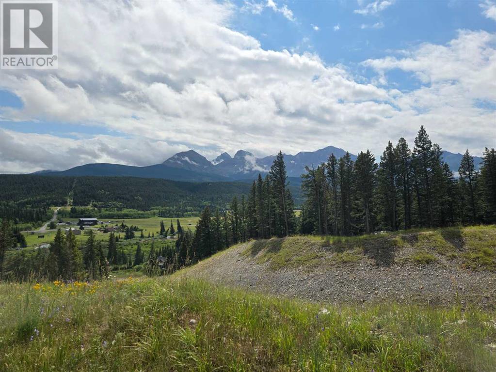 #4, 5302 19th Avenue, Coleman, Alberta T0K 0M0 - Photo 4 - A2240921