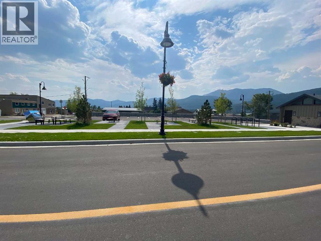 2138 213 Street, Bellevue, Alberta T0K 0C0 - Photo 3 - A2252858