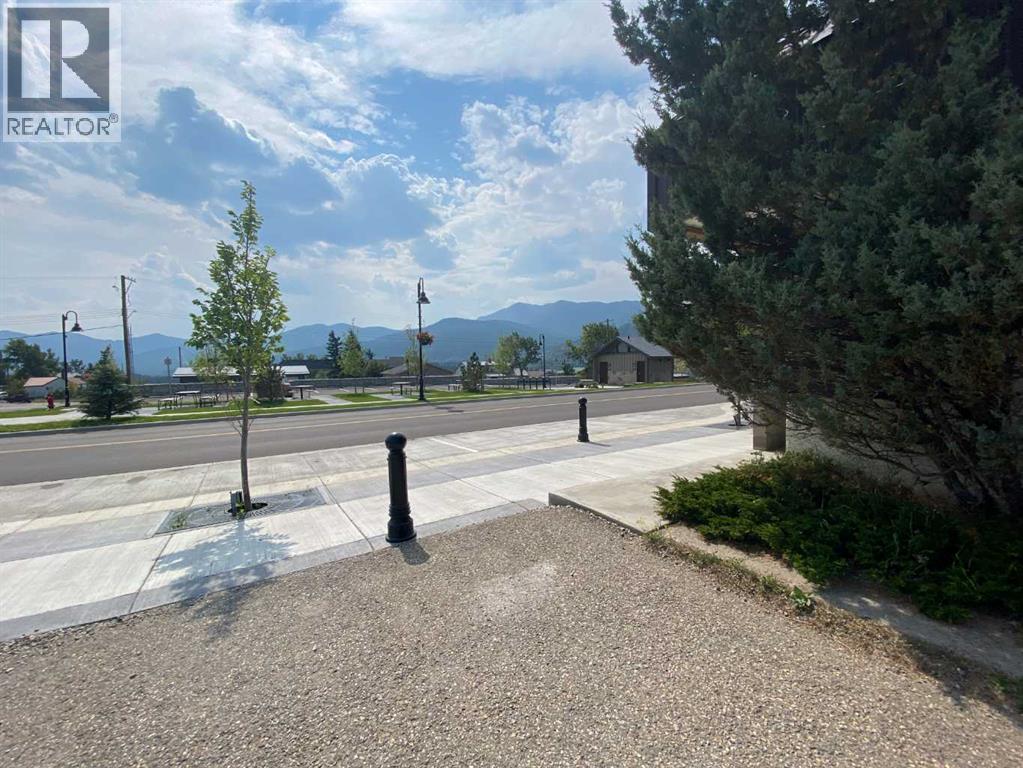 2138 213 Street, Bellevue, Alberta T0K 0C0 - Photo 4 - A2252858