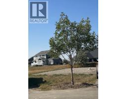 2039 Sunflower Crescent, coaldale, Alberta