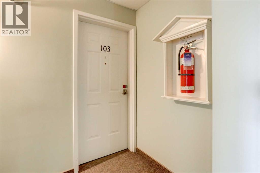 103, 6 Skyline Crescent, Claresholm, Alberta T0L 0T0 - Photo 6 - A2265771