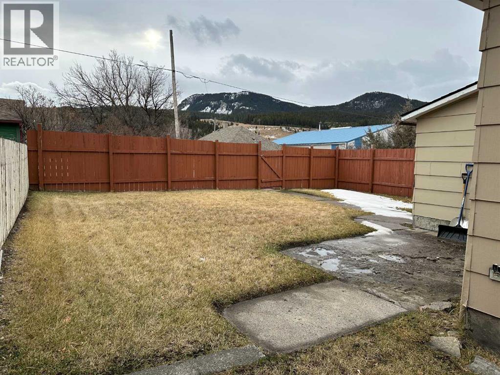 7526 18 Avenue, Coleman, Alberta T0K 0E0 - Photo 2 - A2275226