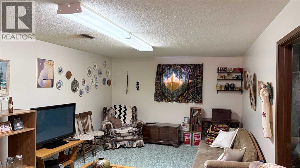 105 4th Street W, Foremost, Alberta T0K 0X0 - Photo 17 - A2282972