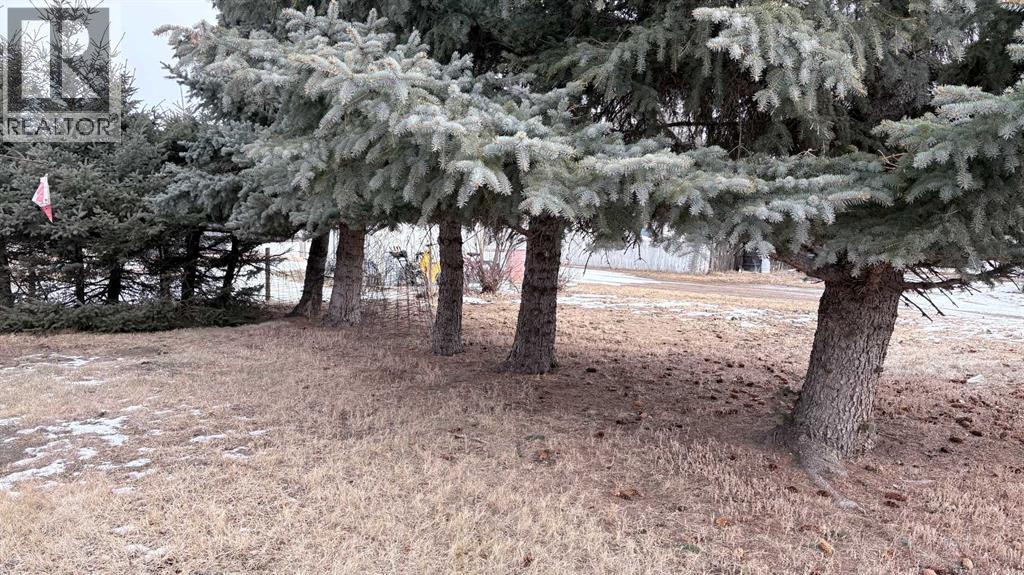 105 4th Street W, Foremost, Alberta T0K 0X0 - Photo 26 - A2282972