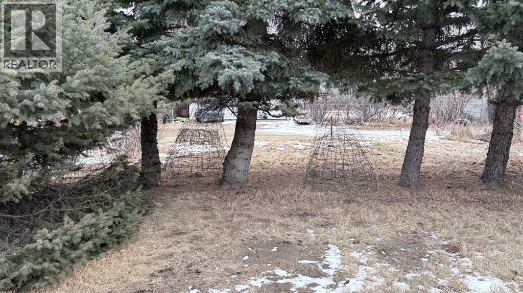 105 4th Street W, Foremost, Alberta T0K 0X0 - Photo 29 - A2282972