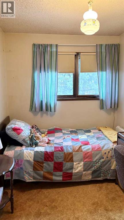 105 4th Street W, Foremost, Alberta T0K 0X0 - Photo 6 - A2282972