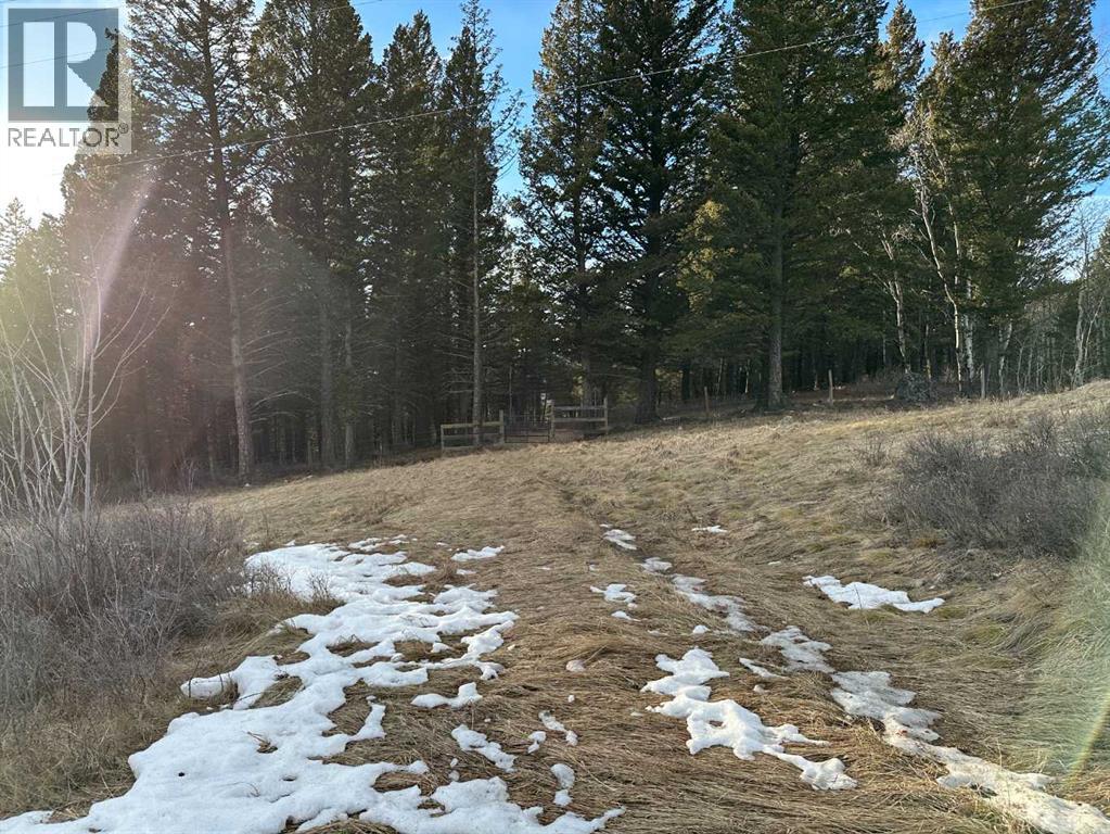 15 Kananaskis, Coleman, Alberta T0K 0M0 - Photo 2 - A2284932